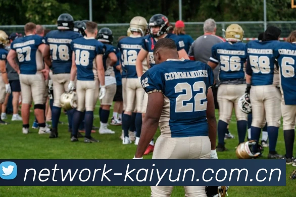 开云 平台生态图