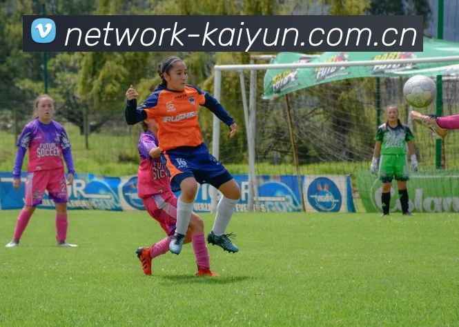 开云 APP 封面图